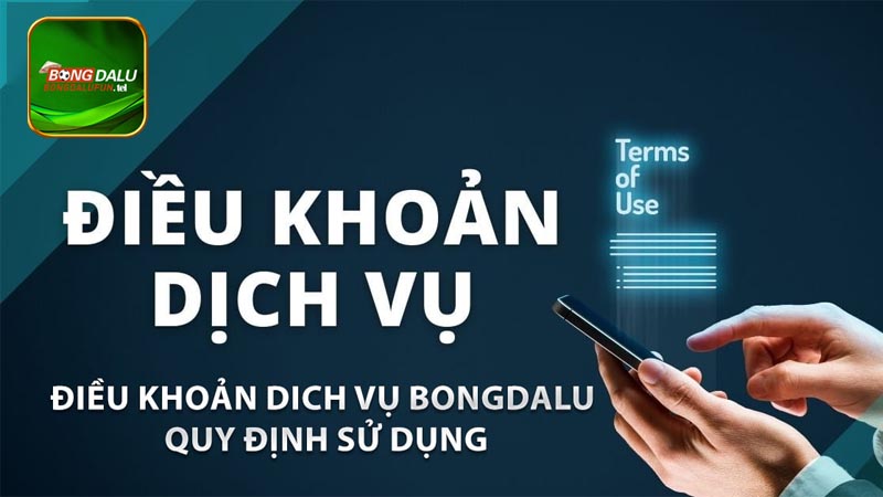 Bongdalu Fun cung cấp những dịch vụ gì cho người dùng?