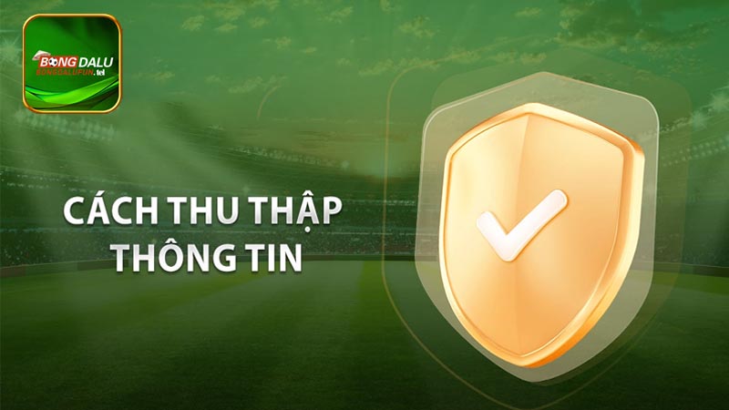 Hình thức bảo mật thông tin của chính sách bảo mật bongdalu Fun