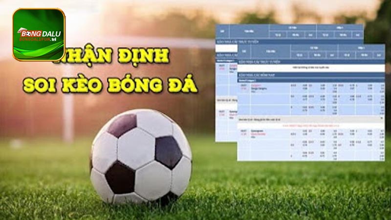 Đánh giá tỷ lệ cược