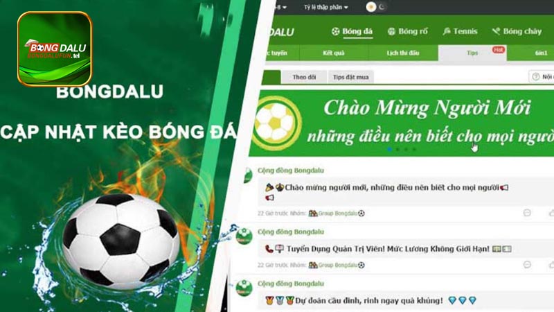 Hành trình xây dựng và phát triển của trang web