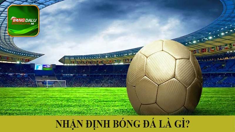 Tư duy hợp lý trong việc nhận định bóng đá