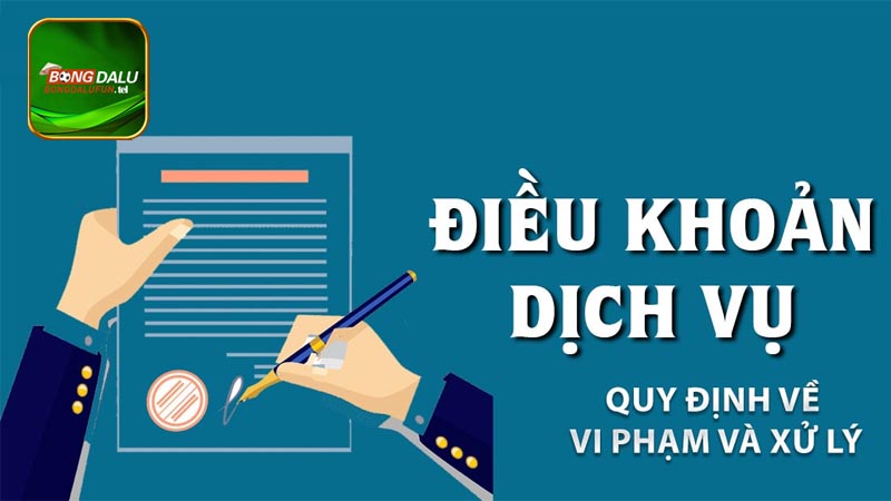 Quy định về vi phạm và xử lý