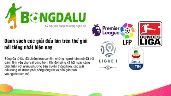 Bongdalu fun cập nhật rất nhiều giải đấu