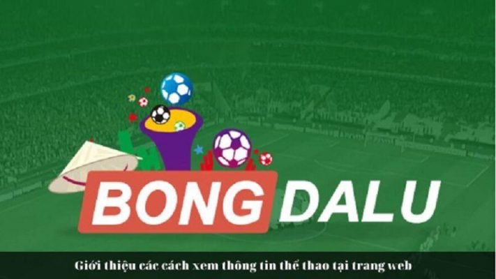 Xem bóng đá trực tiếp trên trang web Bongdalu fun